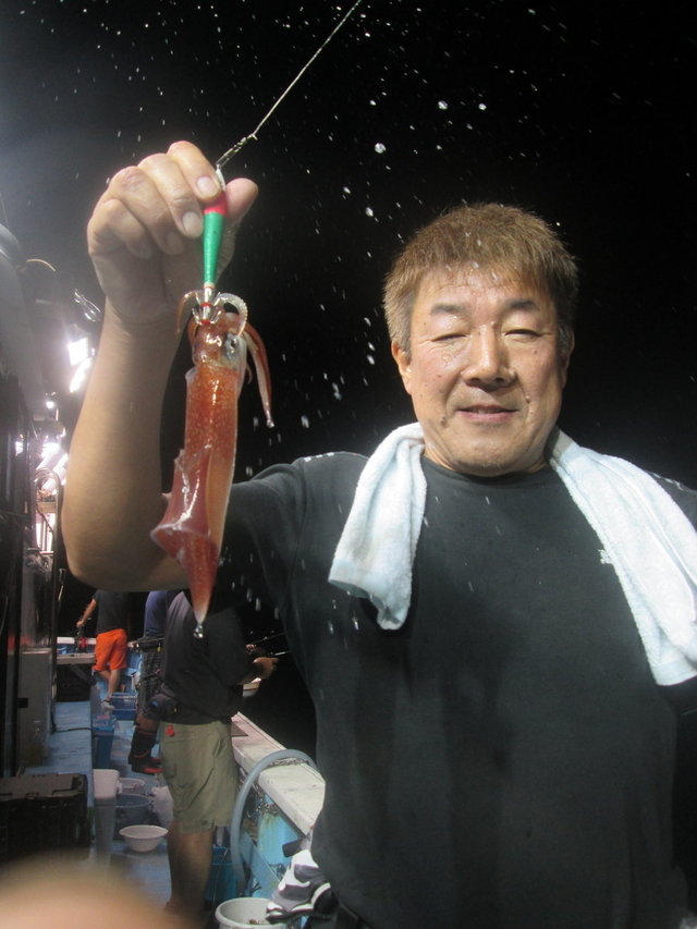 マイカ(ケンサキイカ)