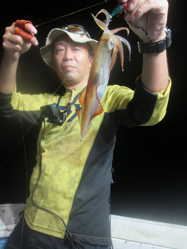 マイカ(ケンサキイカ)