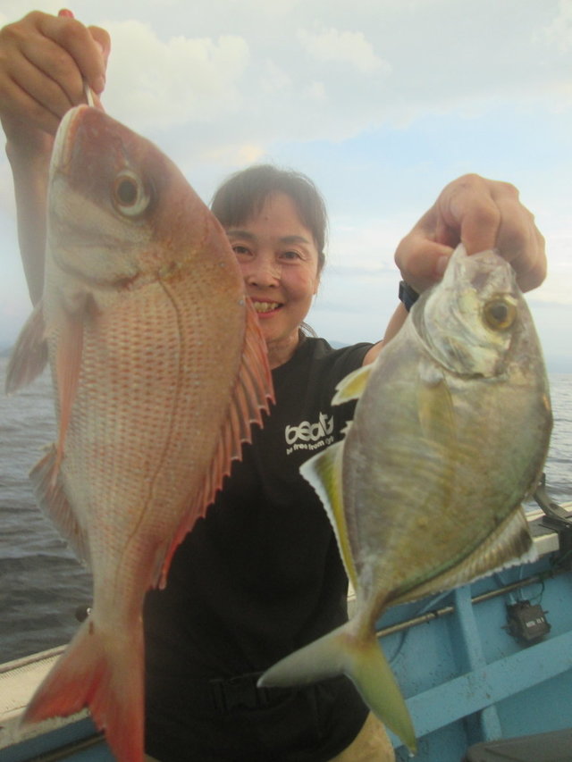 コダイ(マダイ)・カイワリ