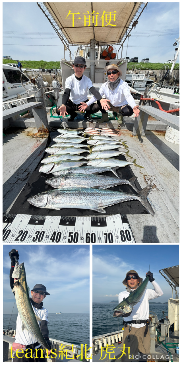 メジロ(ブリ)・シロアマダイ・イトヨリ(イトヨリダイ)・サワラ