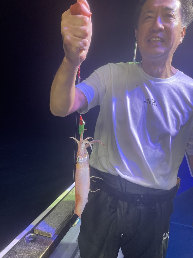 マルイカ(ケンサキイカ)