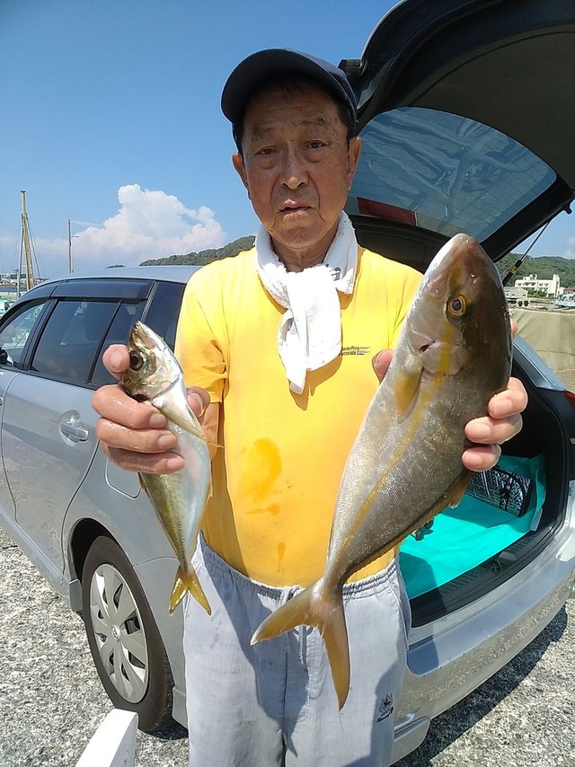 アジ(マアジ)・カンパチ