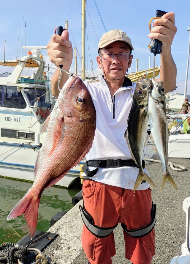 マダイ・アジ(マアジ)