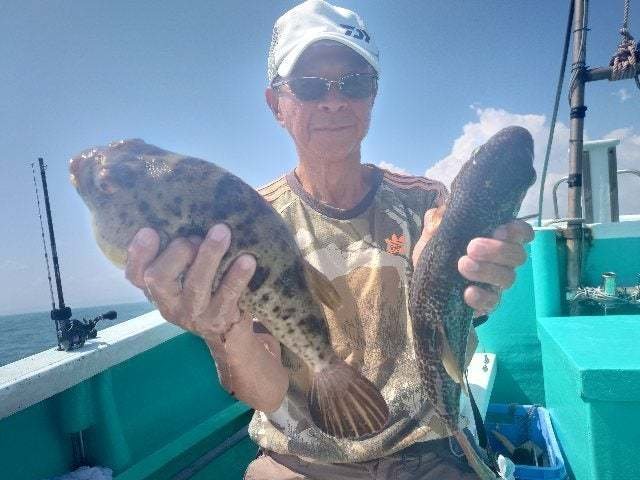 ヒガンフク(ヒガンフグ)・ショウサイフグ