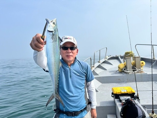 サゴシ(サワラ)