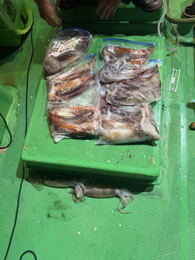 アカイカ(ケンサキイカ)・スルメイカ