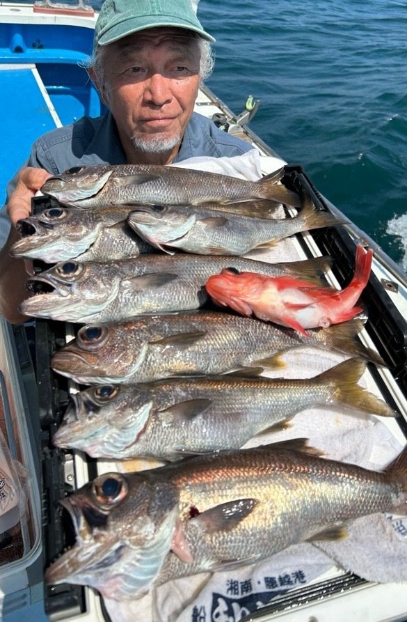 クロムツ・カタボシアカメバル