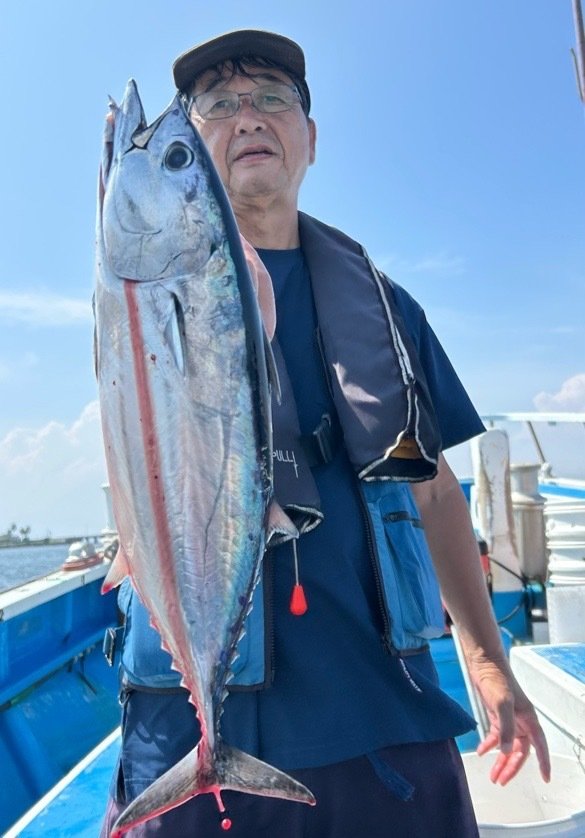 ホンガツオ(カツオ)