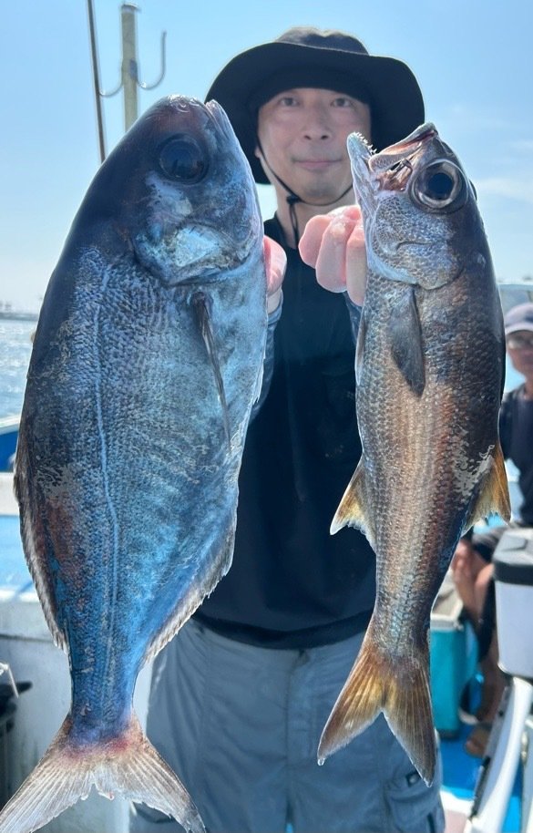 クロムツ・メダイ