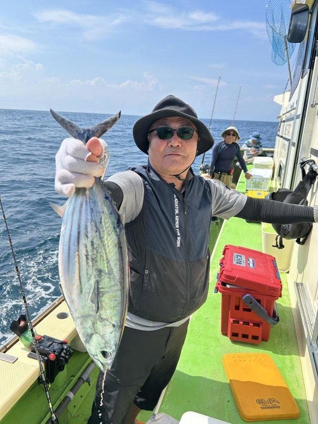 ホンガツオ(カツオ)