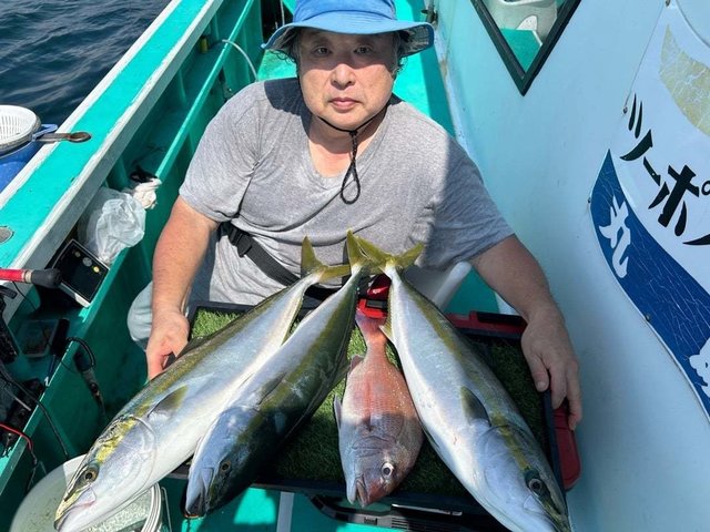 マダイ・ワラサ(ブリ)