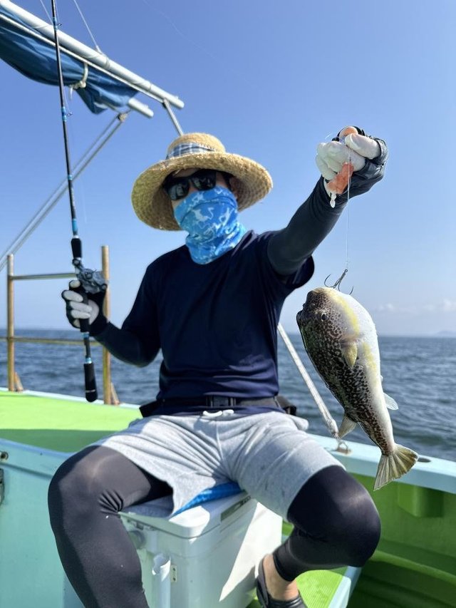 フグ(ショウサイフグ)