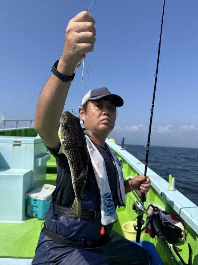 フグ(ショウサイフグ)