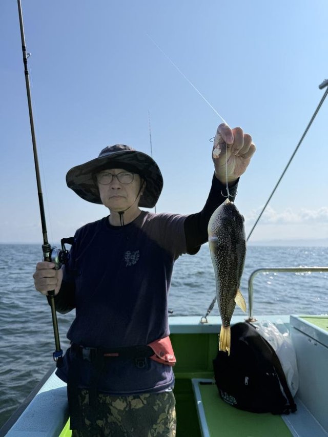 フグ(ショウサイフグ)