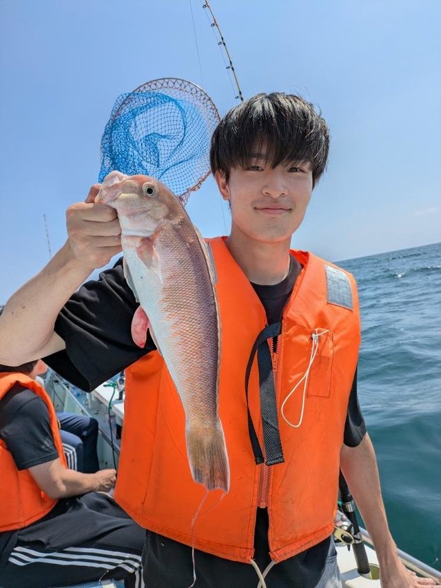 アマダイ(アカアマダイ)