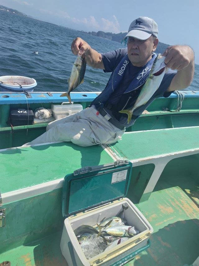 イナダ(ブリ)・カンパチ