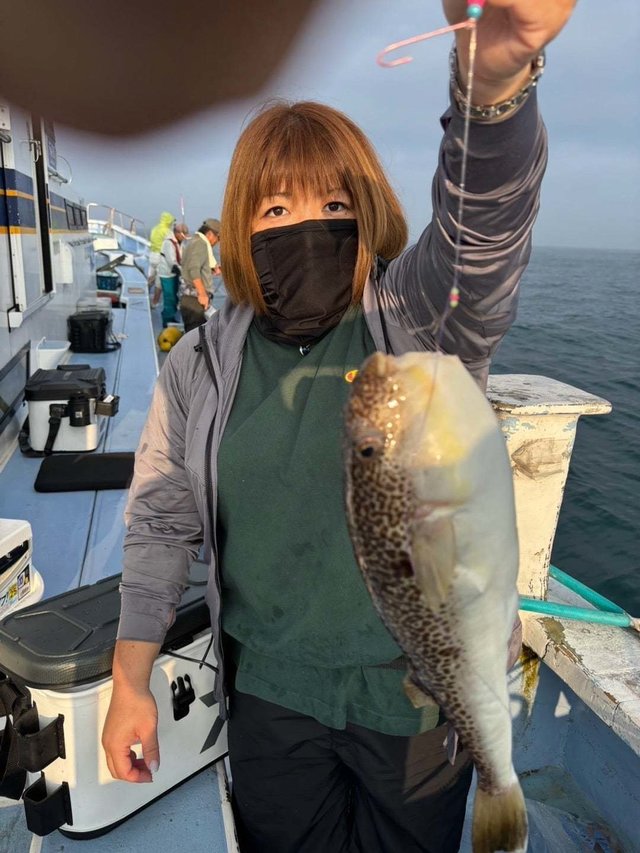 ショウサイフグ