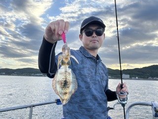 アオリ(アオリイカ)