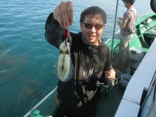 アオリ(アオリイカ)