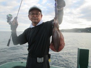 アオリ(アオリイカ)