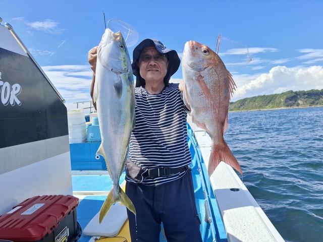 マダイ・ワラサ(ブリ)