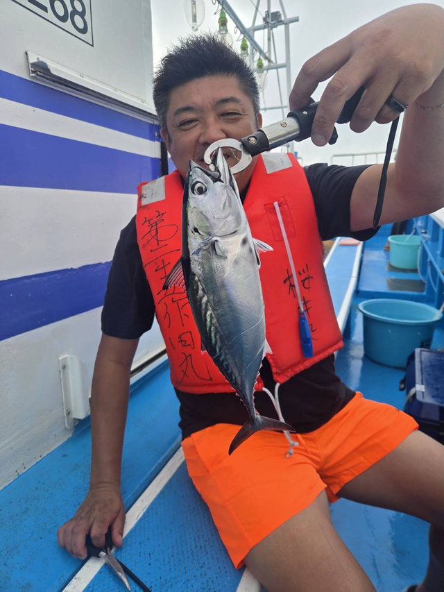 スマガツオ(スマ)