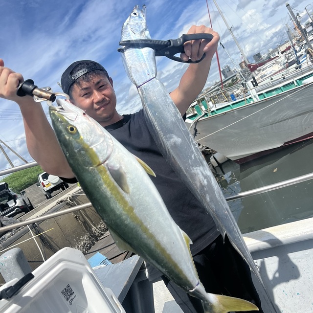 メジロ(ブリ)・タチウオ