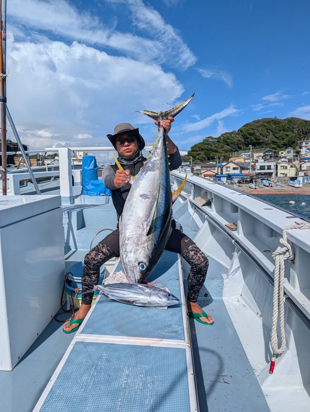 キハダマグロ(キハダ)