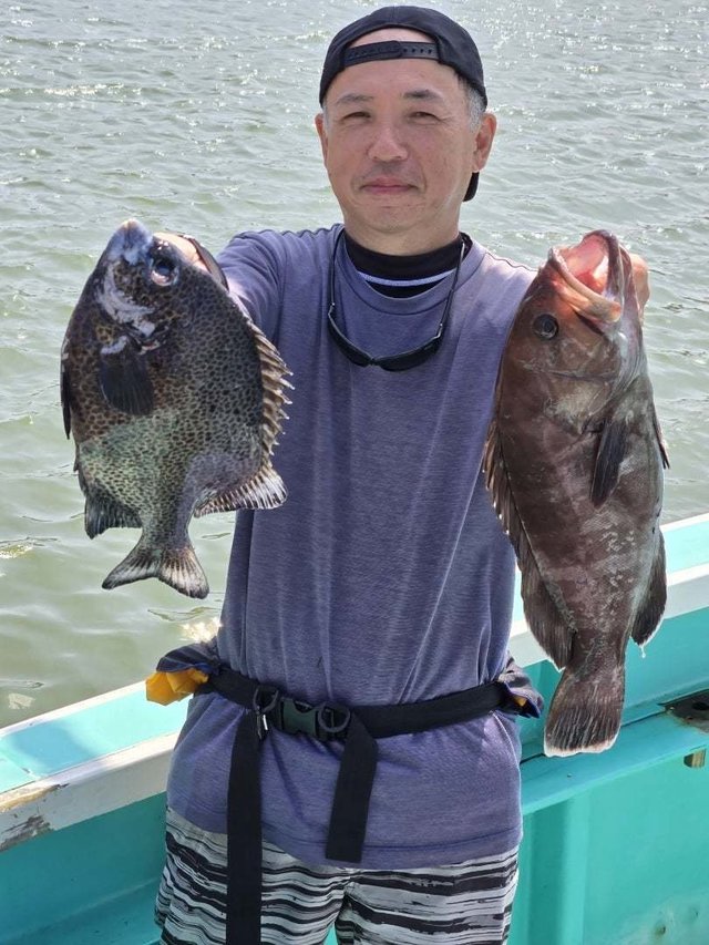 イシガキダイ・ハタ(マハタ)