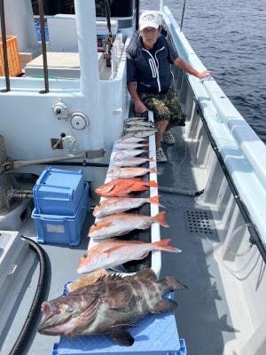 マダイ・レンコダイ(キダイ)・マハタ・イサキ・チカメ(チカメキントキ)