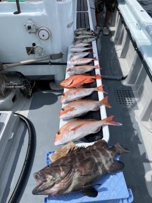 マダイ・レンコダイ(キダイ)・マハタ・イサキ・チカメ(チカメキントキ)