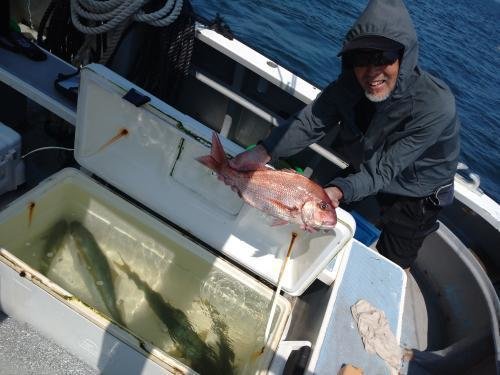 マダイ・イナダ(ブリ)