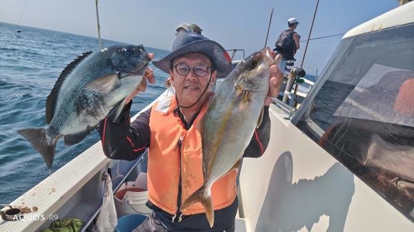 メジナ・カンパチ