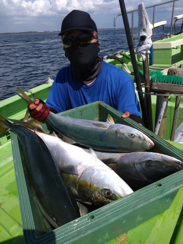 イナダ(ブリ)・ワラサ(ブリ)