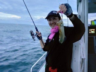 アオリ(アオリイカ)