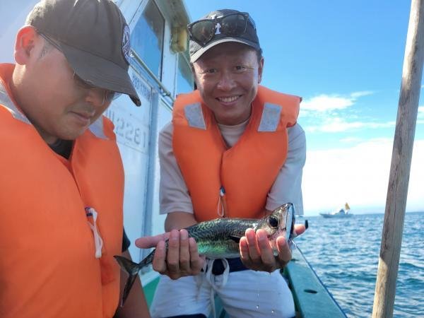 サバ(ゴマサバ)