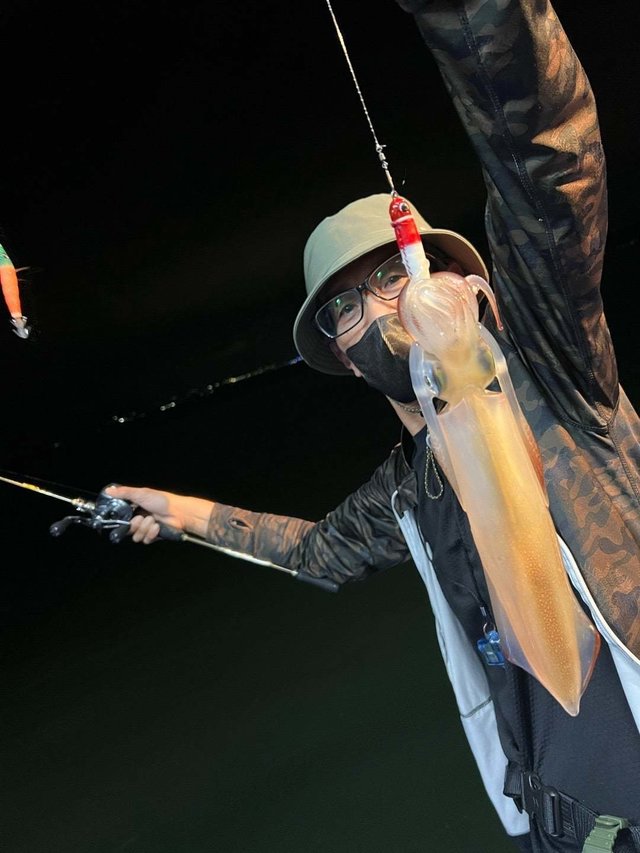 マルイカ(ケンサキイカ)