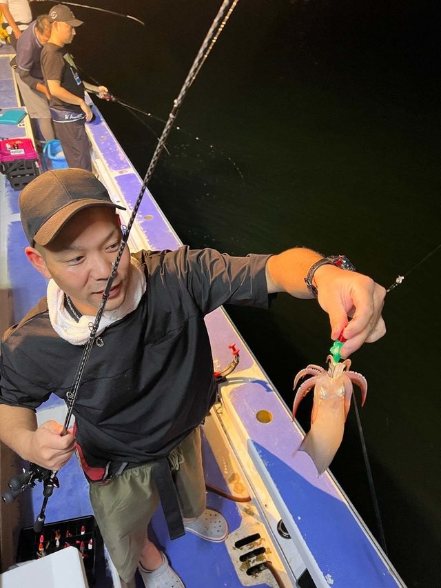 マルイカ(ケンサキイカ)