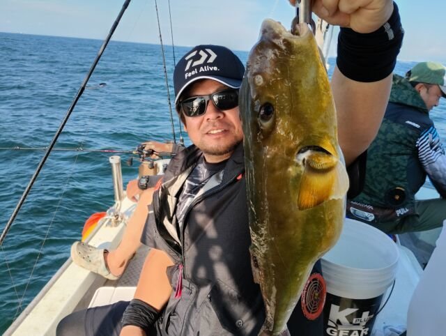 サバフグ(シロサバフグ)