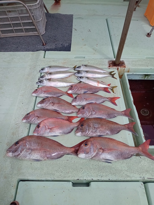 マダイ・マアジ・サバ(マサバ)