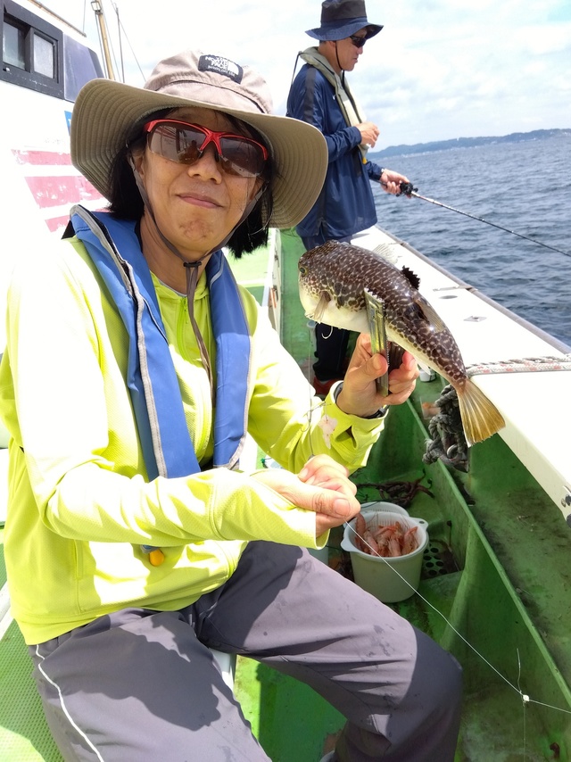 フグ(ショウサイフグ)