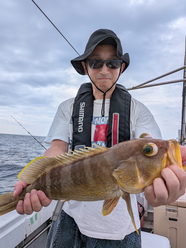 アオナ(アオハタ)