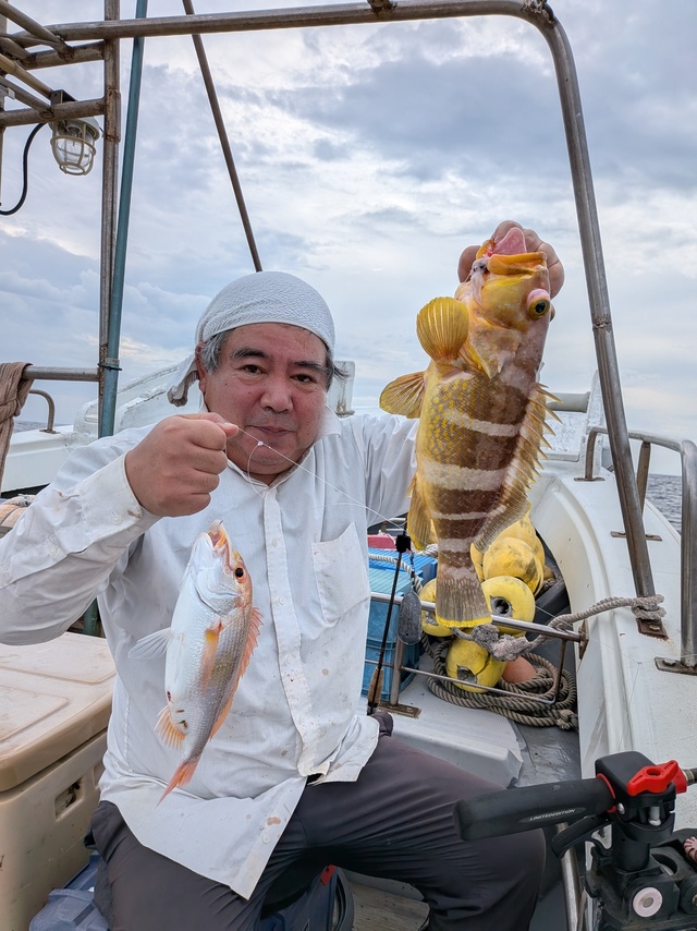 レンコ(キダイ)・アオナ(アオハタ)