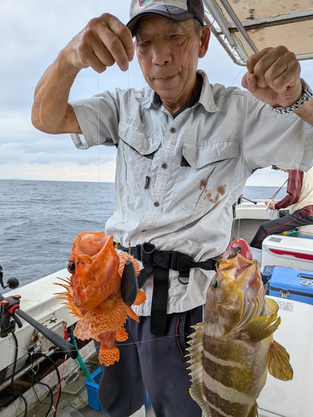 アオナ(アオハタ)