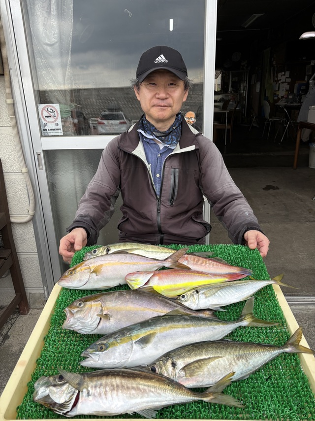 アジ(マアジ)・イナダ(ブリ)