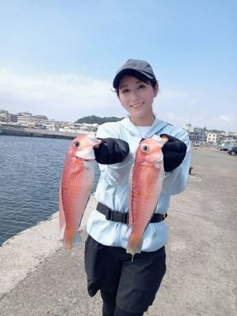 アマダイ(アカアマダイ)