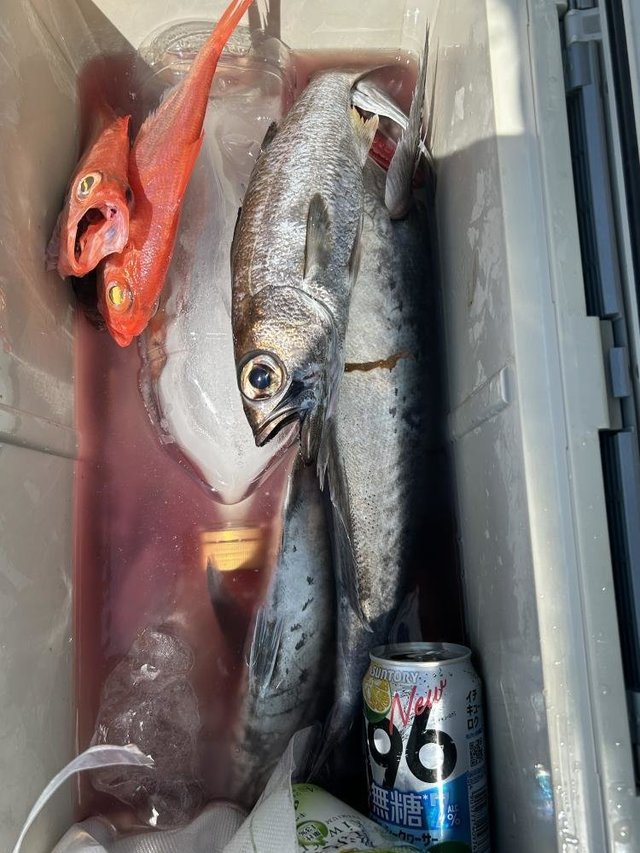 クロムツ・キンメダイ