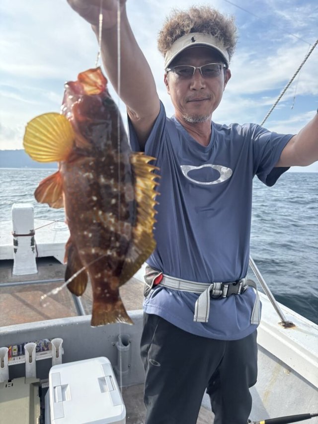 アコウ(キジハタ)