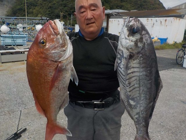 マダイ・メダイ