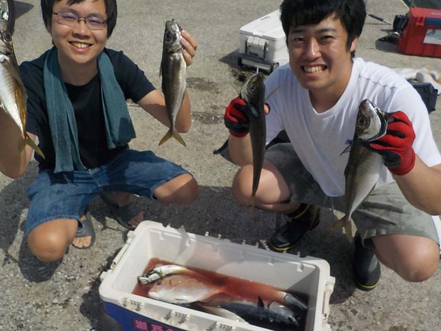 マダイ・マアジ